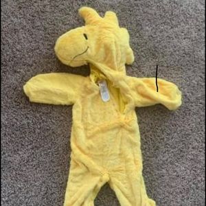 PBK Woodstock costume